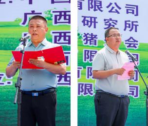 圖文：隆林年出欄60萬頭黑豬項目正式開工 助力鄉村振興開啟新篇章